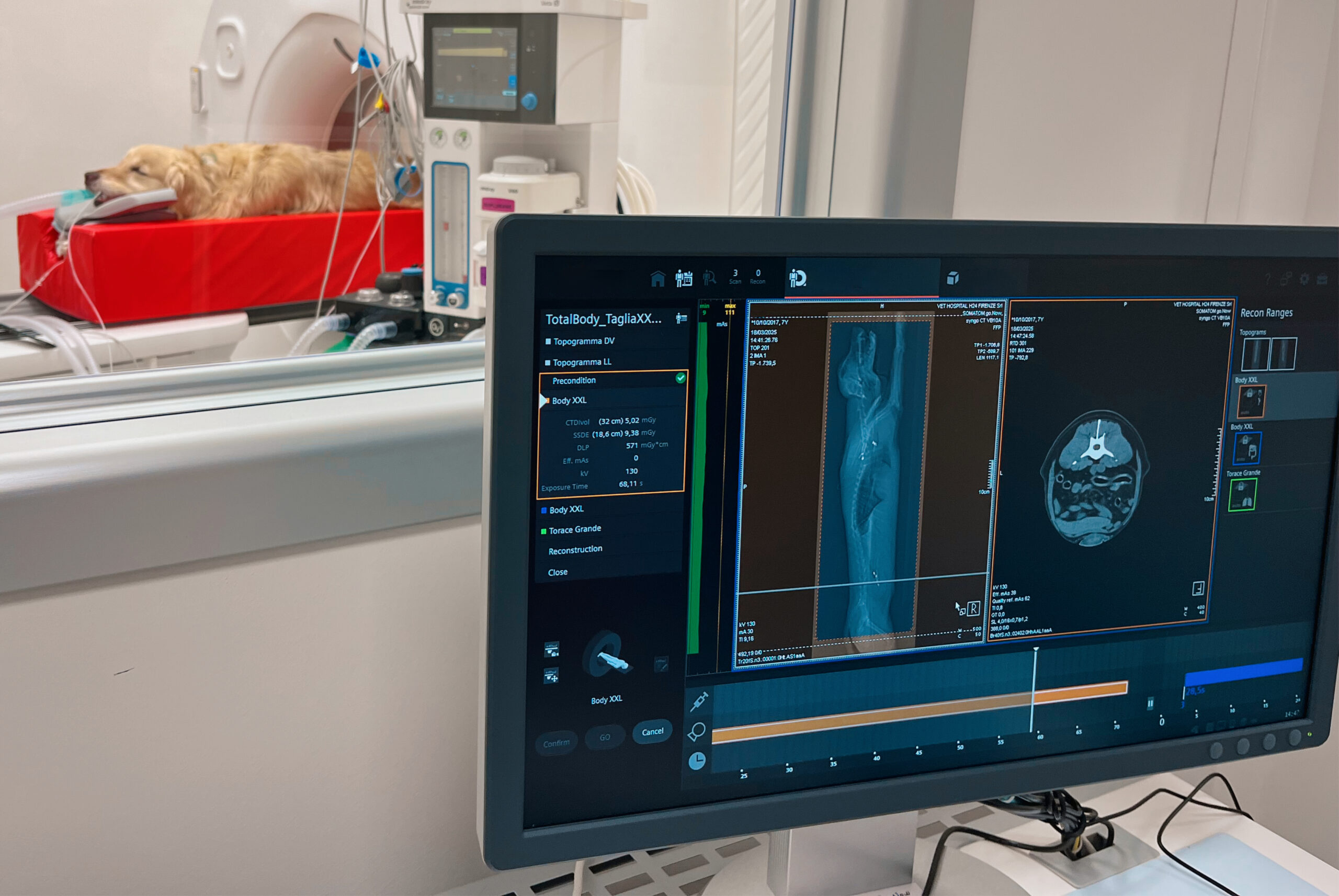 Un cane riposa su un tavolo medico all'interno di uno scanner TAC presso la clinica veterinaria. In primo piano, uno schermo di computer mostra immagini diagnostiche dettagliate dalla scansione TC.