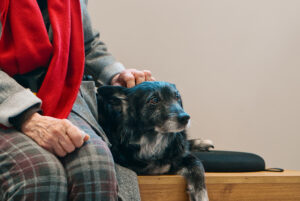 Una persona anziana con una sciarpa rossa e un cappotto grigio accarezza delicatamente un cane bianco e nero seduto accanto a loro su una panca di legno vicino al day hospital. Il cane sembra contento, guardando avanti con occhi sereni.
