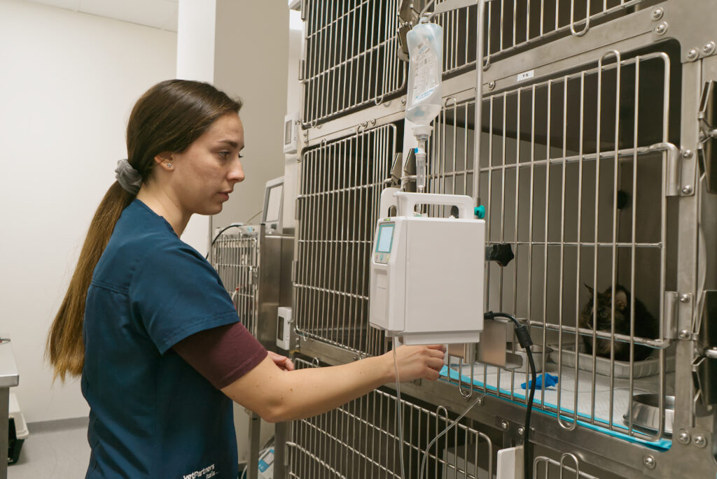 Nella Clinica Veterinaria Colombo, una donna in camice blu sta sistemando attentamente una pompa per infusione endovenosa accanto a una gabbia metallica che ospita un piccolo animale.