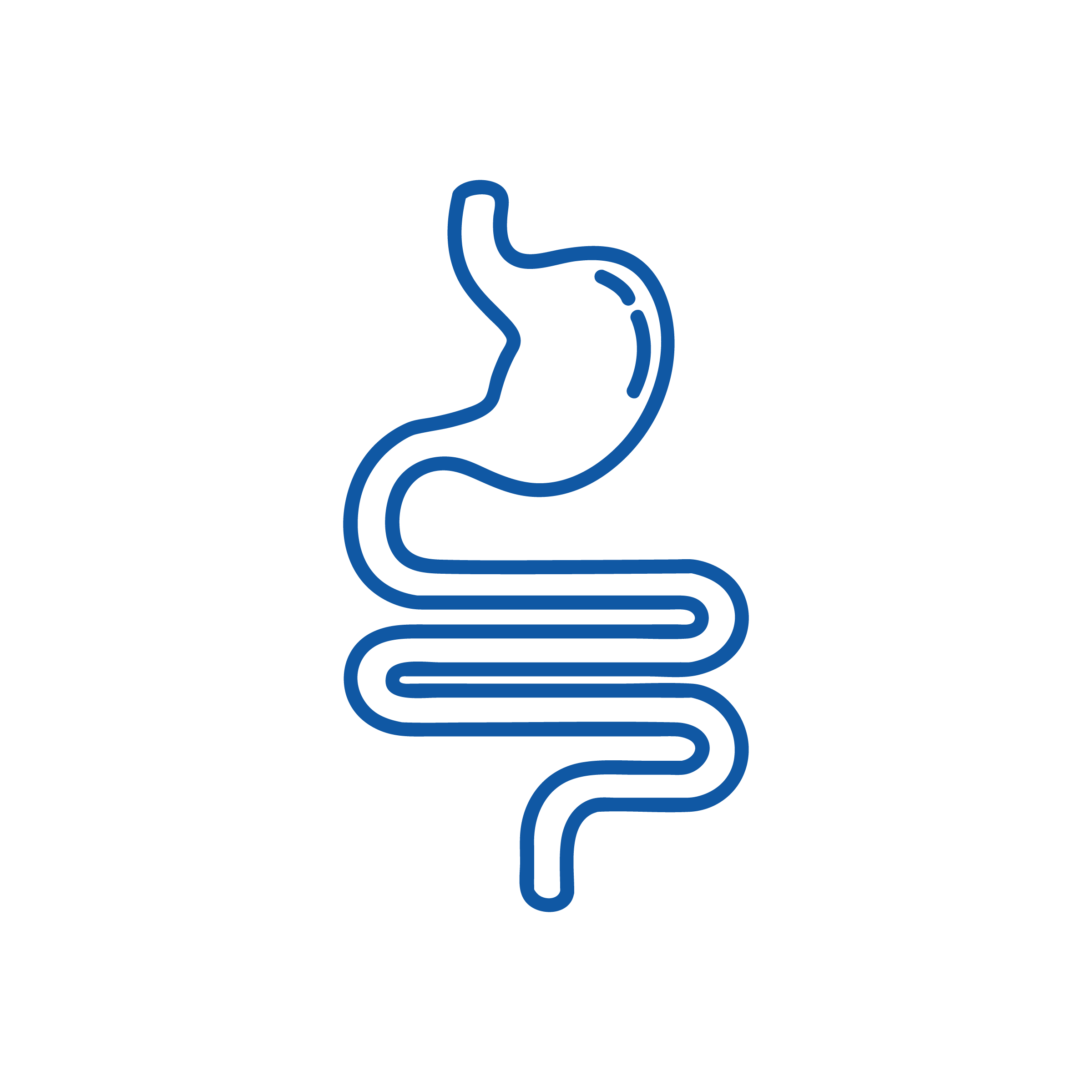 Un disegno a linee blu dell'apparato digerente umano stilizzato, in cui sono evidenziati lo stomaco e l'intestino su uno sfondo nero, offre spunti di riflessione sulla medicina di base.