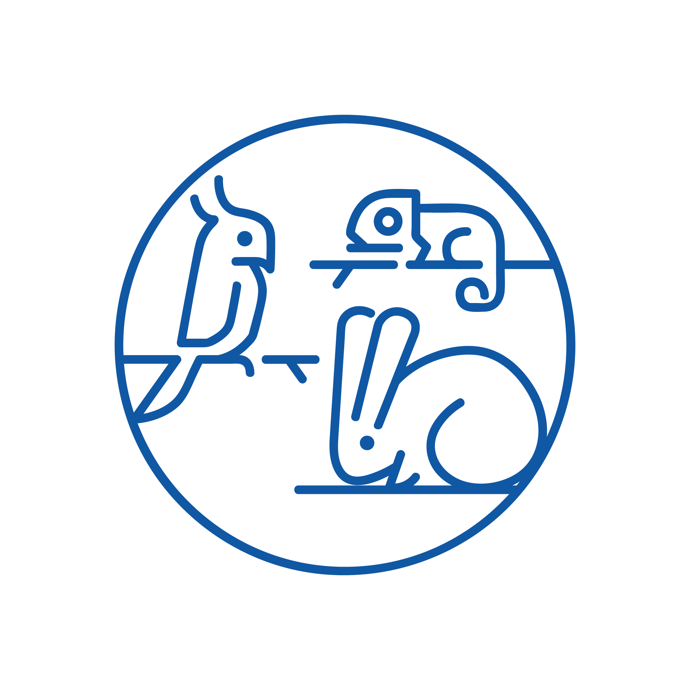 Un'icona circolare blu, evocativa della medicina di base, raffigura un pappagallo, un camaleonte e un coniglio in semplici disegni lineari. Il design minimalista integra perfettamente ogni animale all'interno del cerchio.