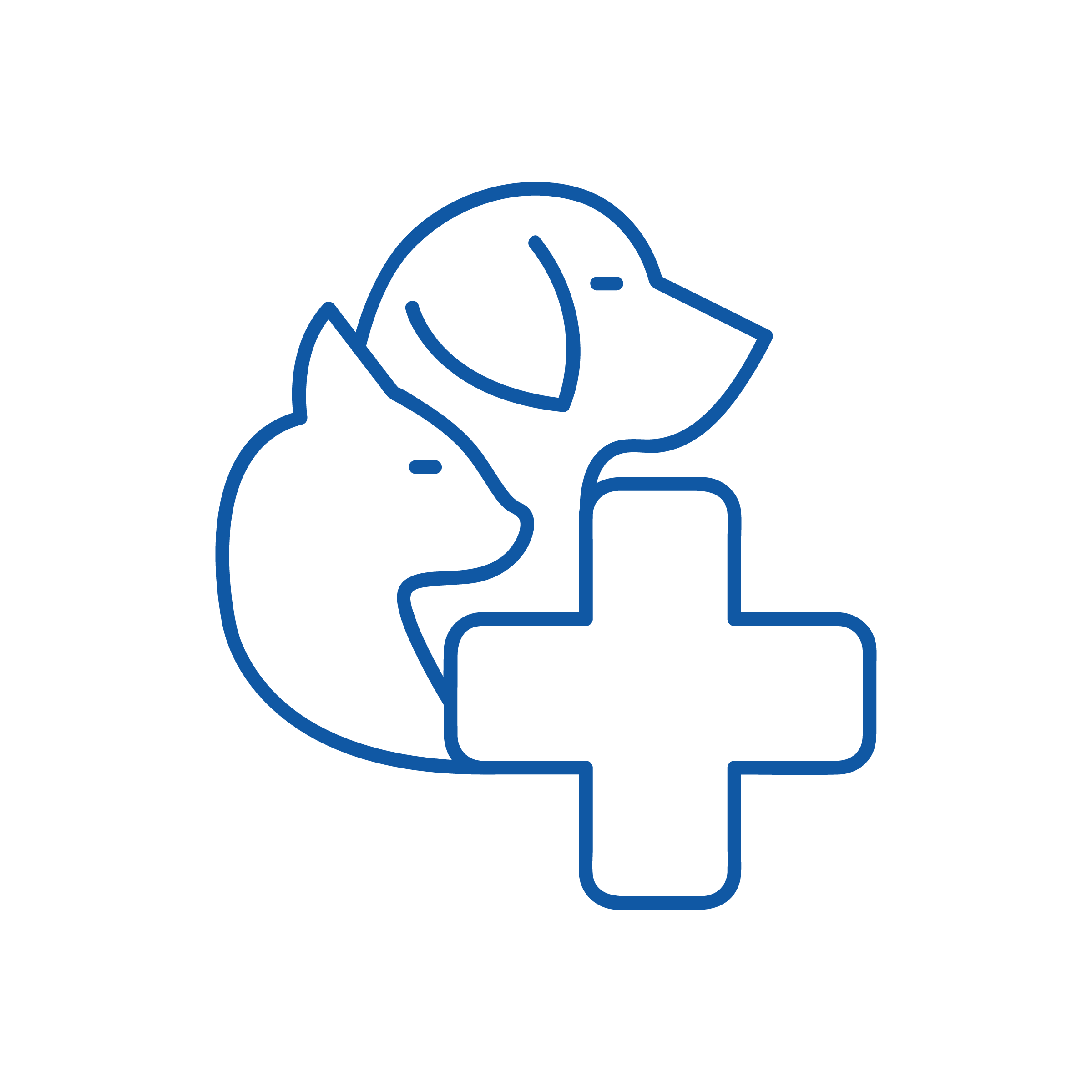 Disegno lineare di un gatto e di un cane dietro una croce medica, i cui contorni sono in blu su sfondo nero, a simboleggiare l'assistenza veterinaria e la medicina di base.