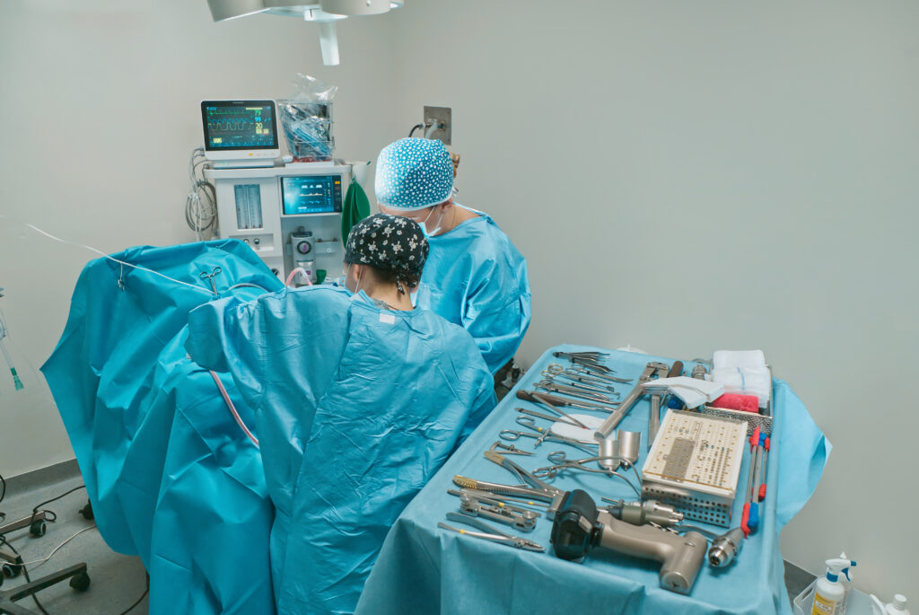 Due chirurghi in camice e cuffia blu operano in una sala operatoria, per il servizio di pronto soccorso veterinairio h24 a Lido di Camaiore. Nelle vicinanze c'è un tavolo coperto di strumenti chirurgici. Sullo sfondo sono visibili attrezzature mediche, incluso un monitor. La sala è ben illuminata e organizzata.